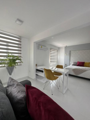 Apartasuites Mardini